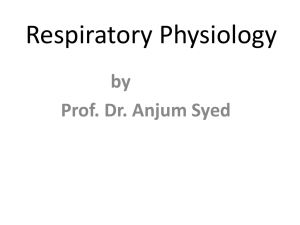 Respiratory Physiology