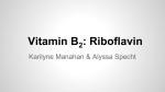 Vitamin B2: Riboflavin
