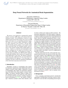 Deep Neural Networks for Anatomical Brain Segmentation