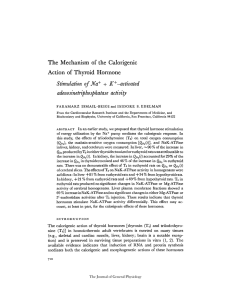 The Mechanism of the Calorigenic Action of Thyroid Hormone