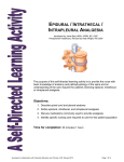 SPR Epidural / Intrathecal / Intrapleural Analgesia SLA