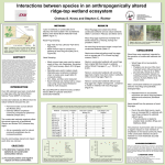 Interactions between species in an anthropogenically