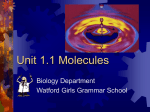 Unit 1.1 Molecules.pps