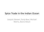 Spice Trade in the Indian Ocean