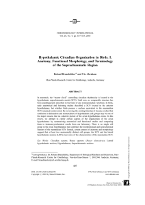 Hypothalamic Circadian Organization in Birds. I. Anatomy