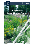 A Guide to Local Native Plants - Essex Region Conservation Authority