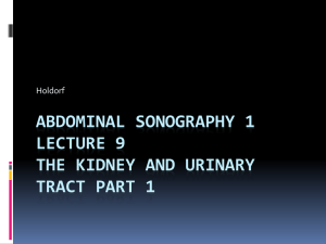 Renal pelvis - Echo ED: Diagnostic Medical Sonography Education