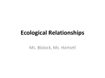 3-11 Ecological Relationships