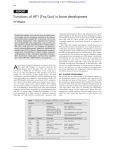 Functions of AP1 (Fos/Jun) in bone development