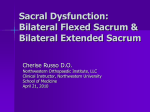 Sacral Dysfunction Bilateral Flexed and Extended Sacrum