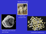 Genetic Engineering/biotech Powerpoint