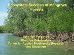 Ecosystem Services of Mangrove Forests