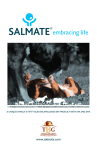 www.salmate.com