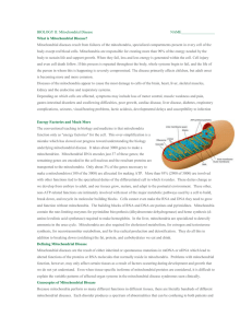 What is Mitochondrial Disease?