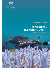 Interim report on 2016 coral bleaching event in GBRMP