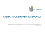 habitats for shorebirds project