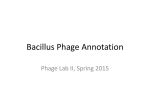 Functional Annotations for Bacillus Phage Phrodo