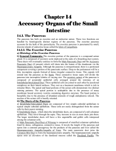 Accessory Organs of the Small Intestine