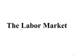 Labor Market (Student Version)
