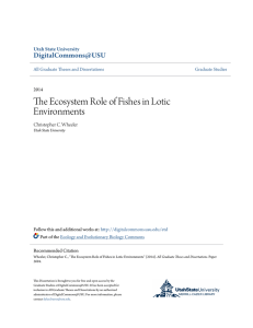 The Ecosystem Role of Fishes in Lotic Environments