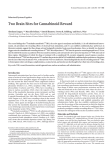 Two Brain Sites for Cannabinoid Reward