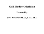 Gall Bladder Meridian