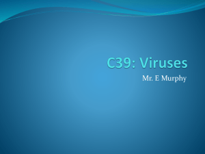 Viruses - Mr Murphy`s Science Blog