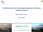 Do cities have the institutional capacity to address climate change?