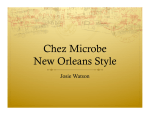 Chez Microbe New Orleans Style