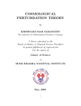 cosmological perturbation theory - The Institute of Mathematical