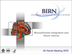 Mouse/Human Integration and future visions