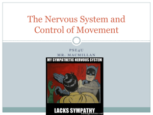 The Nervous System and Control of Movement