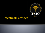 Intestinal Parasites