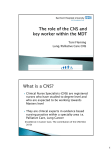 The Role of the CNSs and Key worker within the MDT.