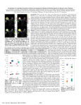 (IVIM) Parameters in Breast Cancer Patients. 2983 Proc. Intl.