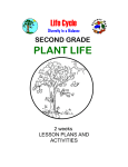 plant life - Math/Science Nucleus