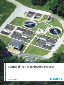 Cannibal Solids Reduction Process
