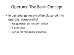 Operons: The Basic Concept