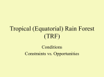 Tropical (Equatorial) Rain Forest (TRF)