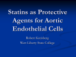 Statins as protective agents for aortic endothelial cells - wv