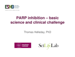 ESMO E-learning: PARP Inhibition - basic science