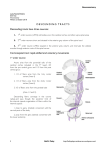 Descending Tracts - Bell`s Palsy