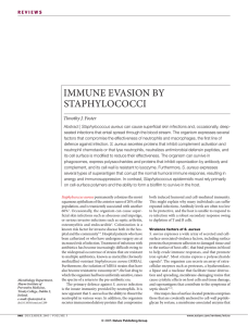 IMMUNE EVASION BY STAPHYLOCOCCI