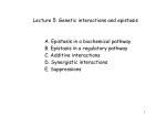 Lecture 5: Genetic interactions and epistasis A. Epistasis in a