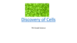 Discovery of Cells