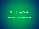 Classifying Plants coach