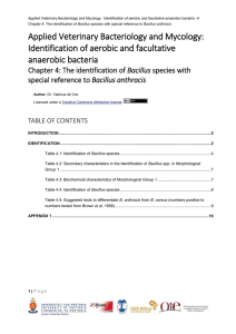 Chapter 4: The identification of Bacillus species with special
