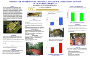 the effect of prior exposure to chemical cues on the antipredator