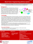 Novel Tumor-Targeted Drug Delivery System Background