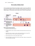 Pedigree Exercise